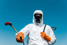 Best Termite Inspection and Treatment  in Fairless Hills, PA